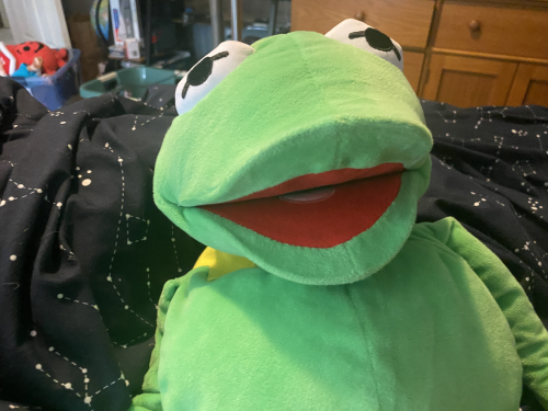 Create a My Entire Plush Collection Tier List - TierMaker