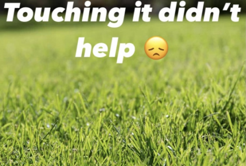 My “HEAR ME OUT” characters (Animation edition) Tier List (Community