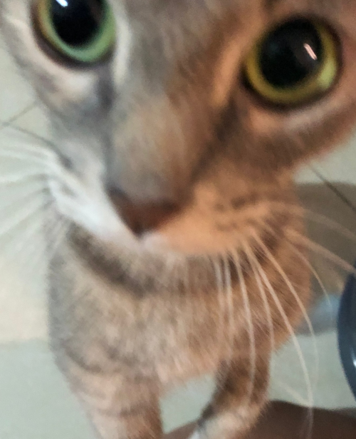 Create a Partes of body Tier List TierMaker