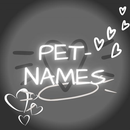 Create a Pet Names For S/O Tier List TierMaker