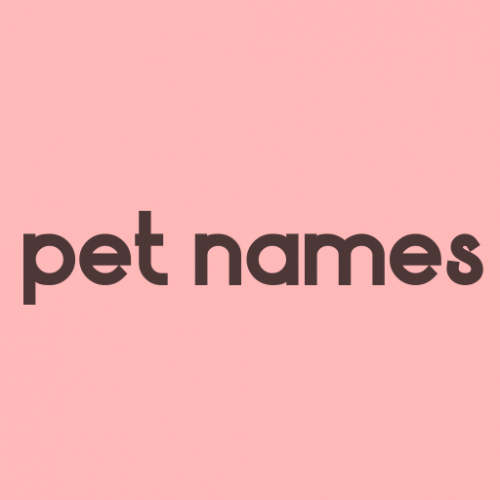 create-a-pet-names-tier-list-tiermaker