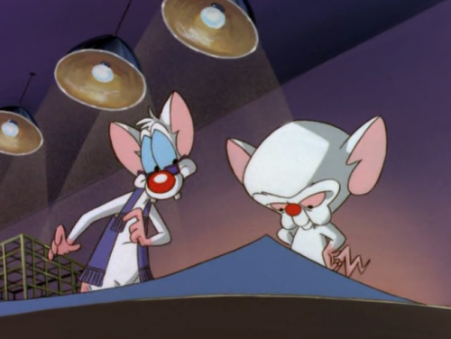 Pinky and the Brain Episodes Tier List (Community Rankings) - TierMaker