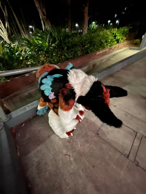 Create a Pookio’s Fursona Ranking Tier List - TierMaker