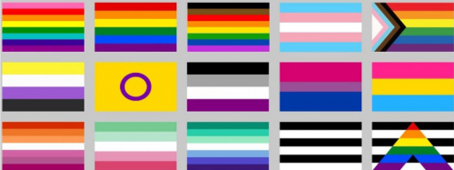 Create a pride flags Tier List - TierMaker