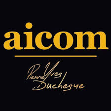 Prof De L Aicom Tier List Community Rankings Tiermaker