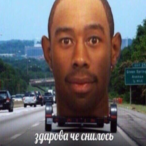 Create a Protein Bar Tier List TierMaker