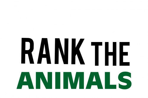 Rank animals Tier List (Community Rankings) - TierMaker