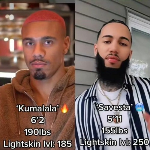 Kumala Versus Savesta 