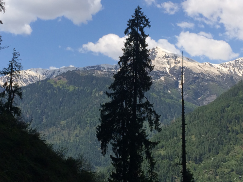 Create A Ranking Merch Tier List Tiermaker