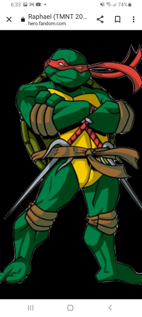 Create a Ranking raphael Tier List - TierMaker