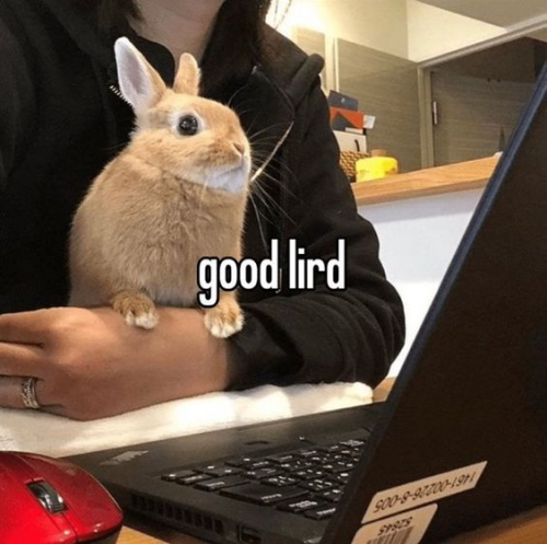 sen's Browsers Ranked by Spyware Level Tier List (Community Rankings ...