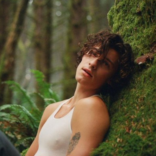 Create a Shawn Mendes Wonder Tier List TierMaker