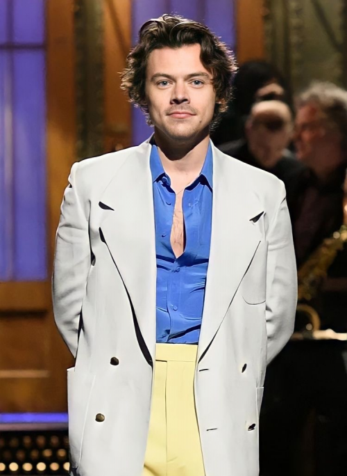 Create a SNL Harry Styles Skits Tier List TierMaker