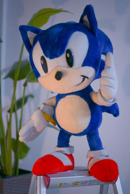 sonic plushies for free