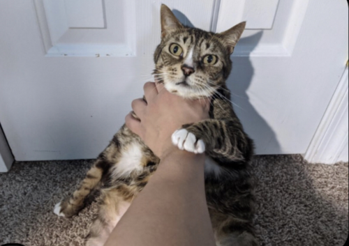 Create a Soundcloud Rappers (Old Gen) Tier List - TierMaker