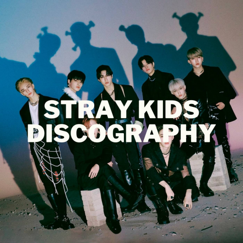 Create a Stray Kids Discography (Updated w/ Maxident) Tier List TierMaker