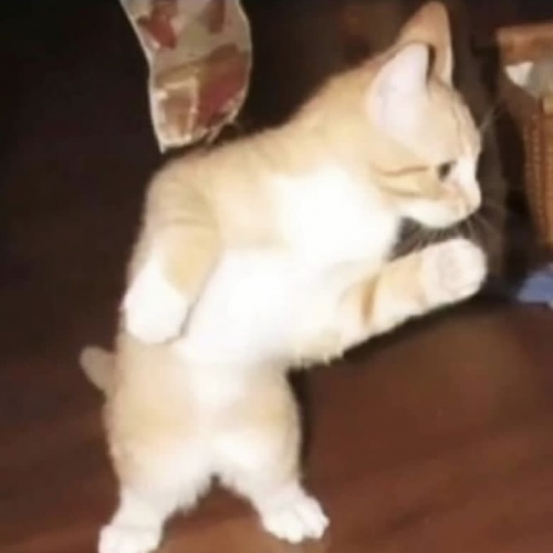 Create A Sza Sos Track List Tier List Tiermaker