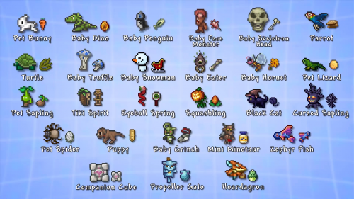 vindruer Skuffelse taktik Terraria Pets (No Light) Tier List (Community Rankings) - TierMaker