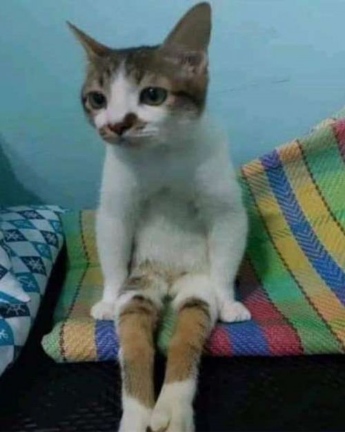 Create a The Burning of Maida Jasperson Tier List - TierMaker