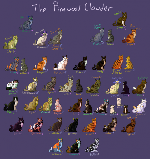 Create a The Pinewood Clowder (YASC) Tier List TierMaker