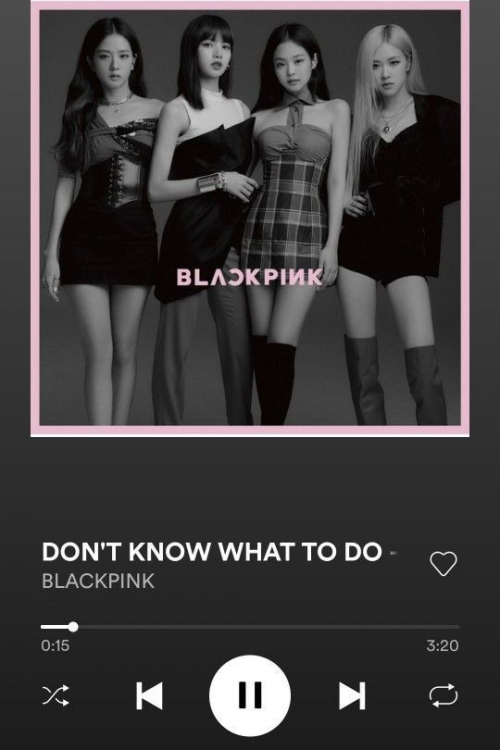 Create a The ultimate blackpink discography ranking Tier List - TierMaker