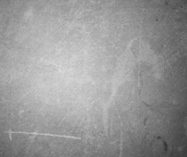 Create A This Tomato Tier List Tiermaker