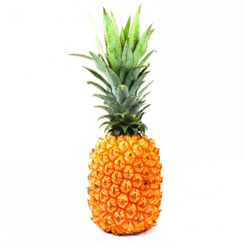 Create a Fruit Tier List TierMaker