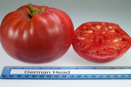 Create A Tomato Ranking Tier List Tiermaker