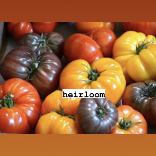 Create A Tomato Tier List Tiermaker