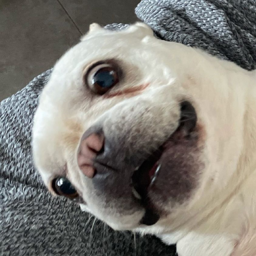 Touch Games Ranking Tier List Rankings) TierMaker