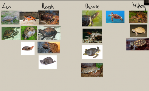 Create a turtle species for my tmnt au Tier List - TierMaker