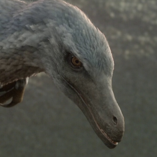 Create A Ultimate Dinosaur Jw Designs Included Tier List Tiermaker Create A Ultimate Dinosaur Jw Designs Included Tier List Tiermaker