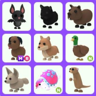 50 Uncommon Pet Names In Adopt Me!!!