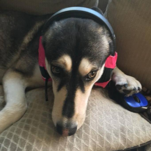 Warhammer 40,000 Tabletop Meta Factions Tier List Rankings