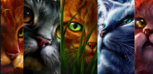 Create a Warrior Cats Characters Tier List - TierMaker