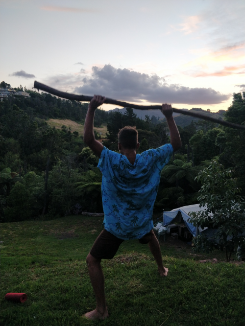 Create a Whangamata small game animals Tier List TierMaker