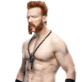 Create a WWE: Super Star Clash Brawlers Tier List - TierMaker