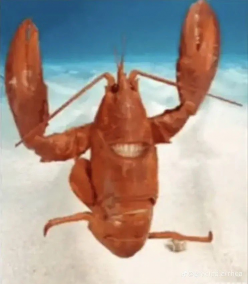 Create a yummer rell sea fruit Tier List TierMaker