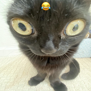 ZENDAYA IS BETTER Tier List (Community Rankings) - TierMaker