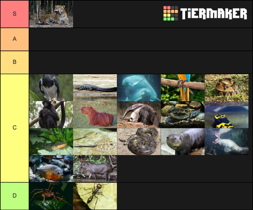 Amazon Wildlife Tier List Rankings) TierMaker