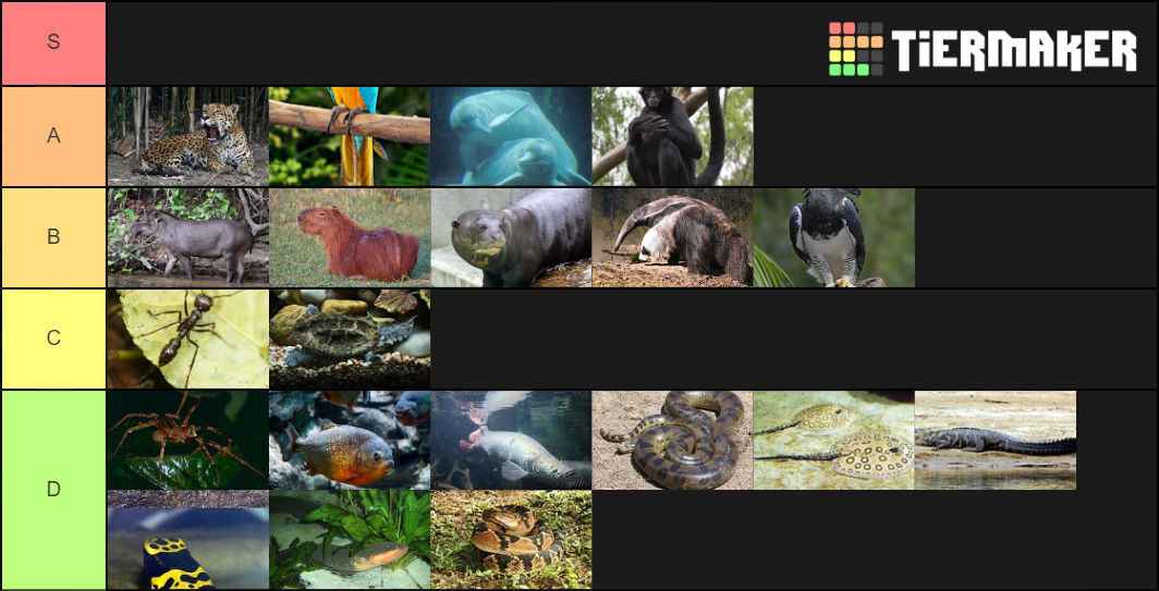 Amazon Wildlife Tier List Rankings) TierMaker