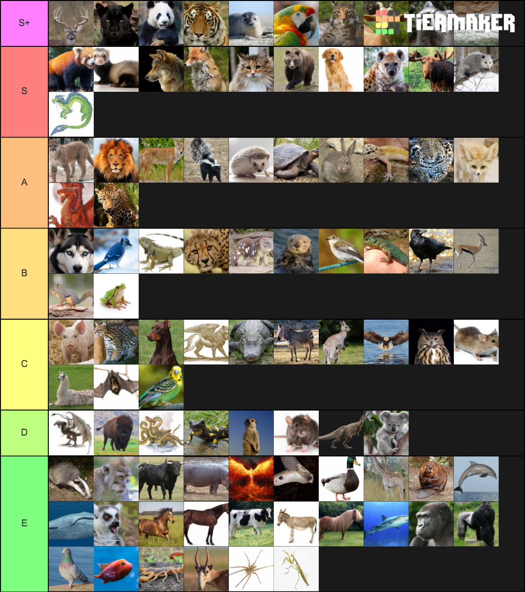 Animal Species Tier List Rankings) TierMaker