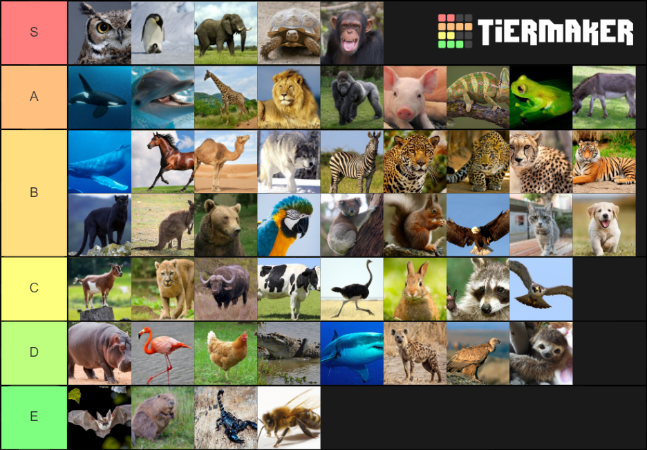 ANIMALES Tier List (Community Rankings) - TierMaker