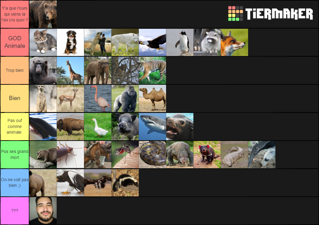 Animaux tierlist Tier List (Community Rankings) - TierMaker