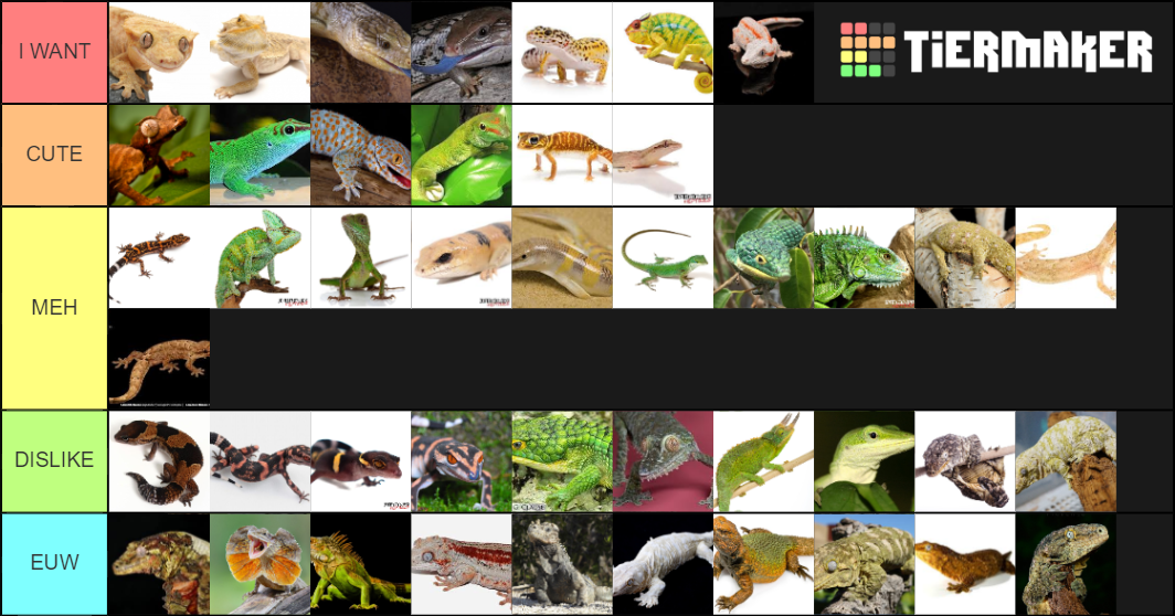 common-captive-reptile-tier-list-community-rankings-tiermaker