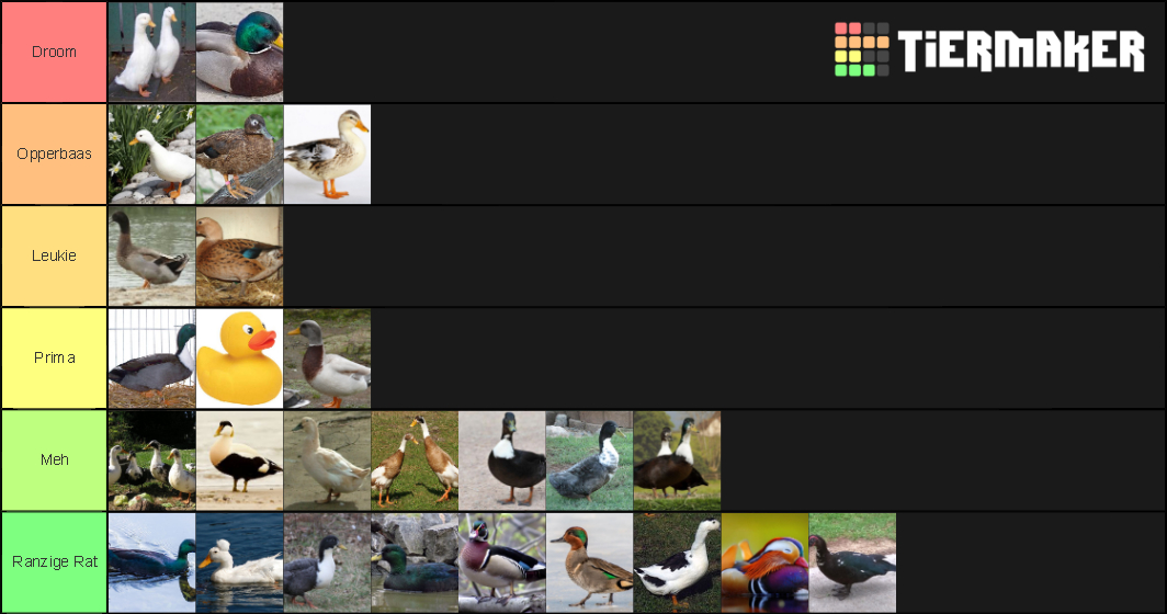 Duck Tier List Rankings) TierMaker