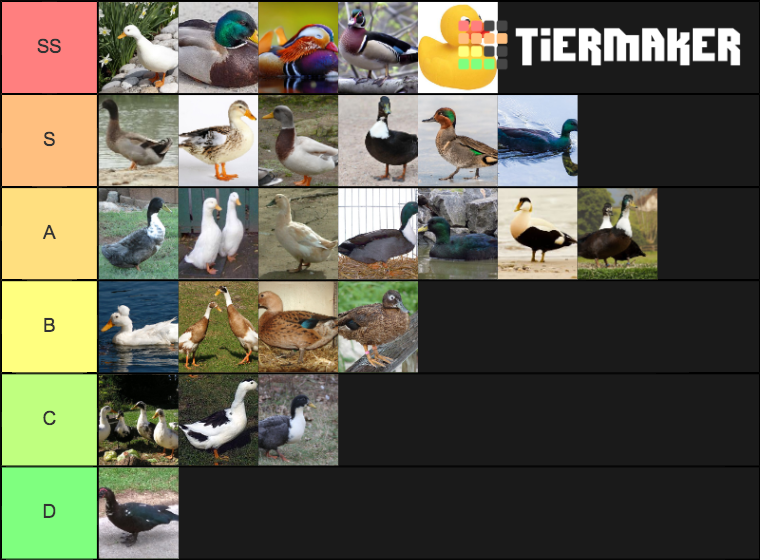 Duck Tier List Rankings) TierMaker