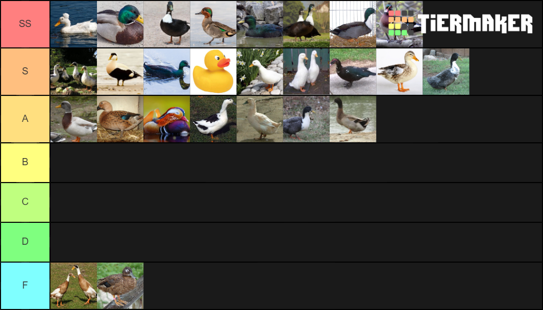 Duck Tier List Rankings) TierMaker