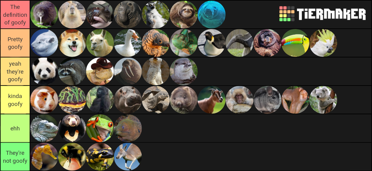 Goofy Animals Tier List Rankings) TierMaker