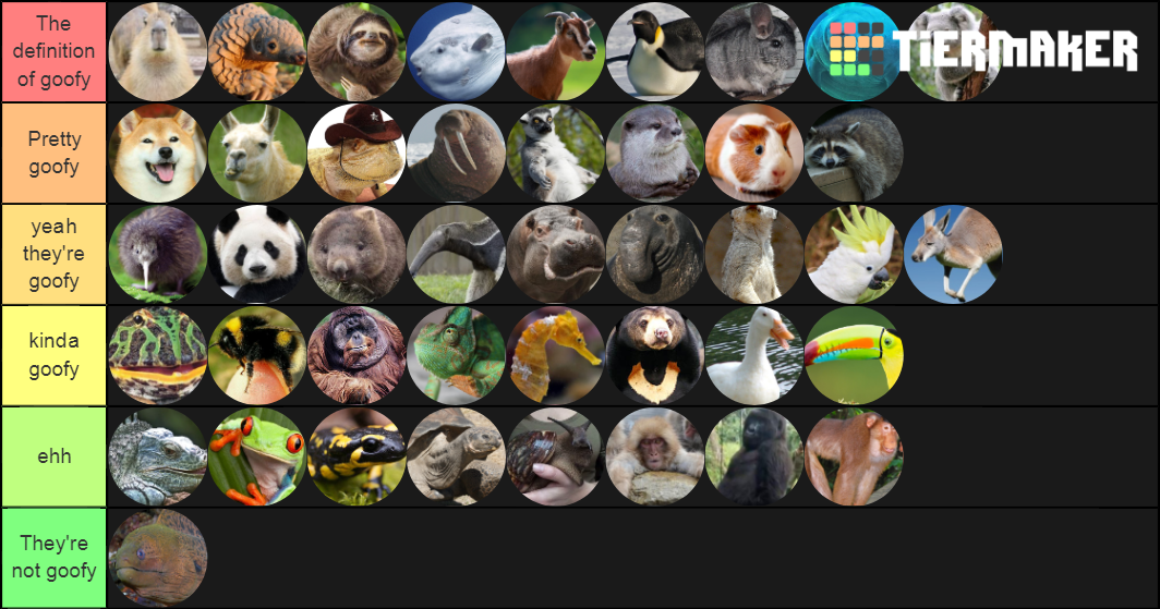 Goofy Animals Tier List Rankings) TierMaker